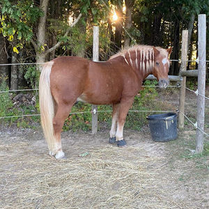 Meet your Posher, Emma